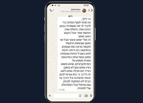 פגישות אסטרטגיה